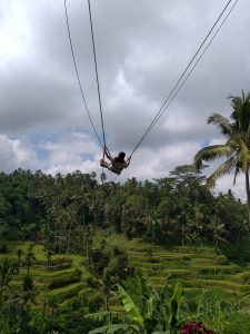 Tegallalang Rice Terraces