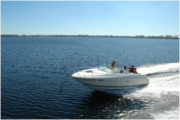 Mapping Seagrass Conveyance