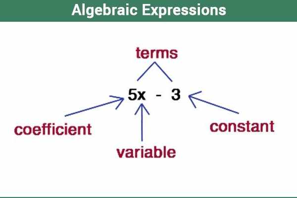 How to Solve Algebraic Expressions