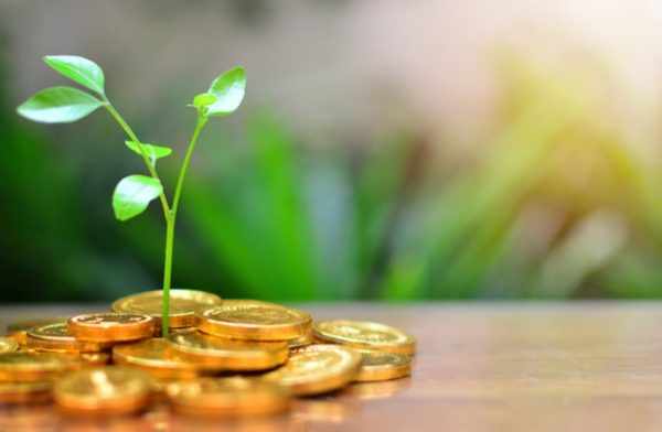 Successfully Invest in Gold