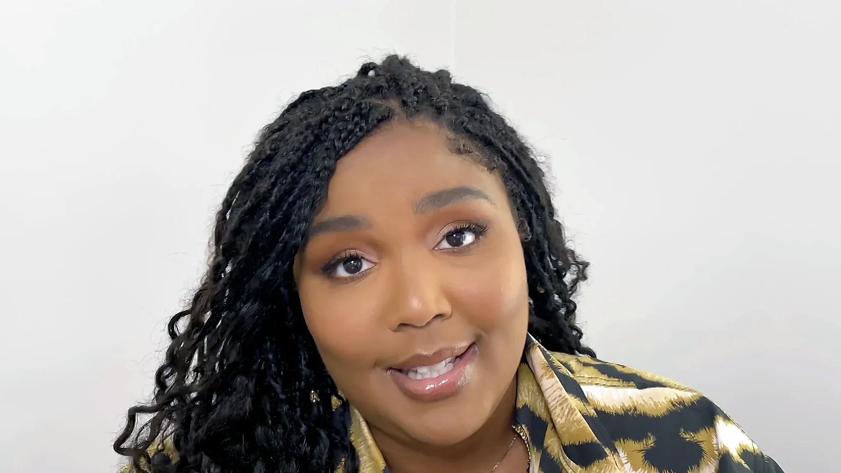 Negativity Directed Towards Lizzo