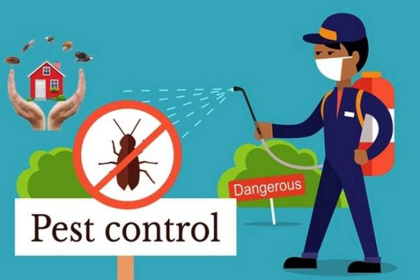 pest control