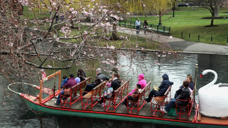 6 Best Outdoor Activities to Try in Boston