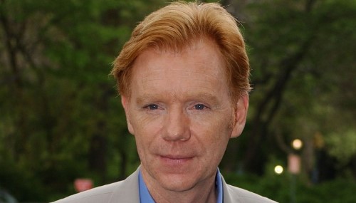 David Caruso net worth