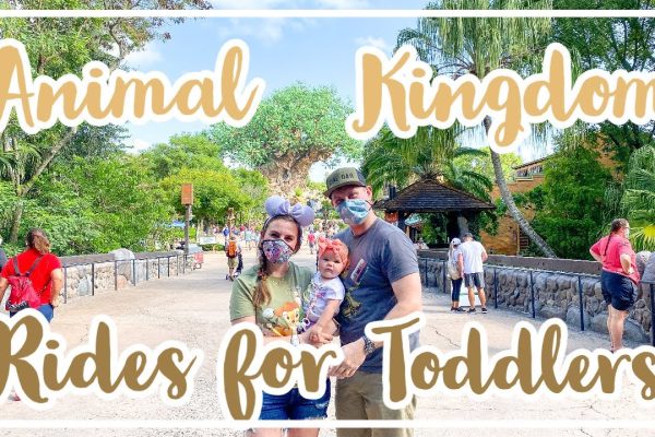 Animal Kingdom With Toddlers