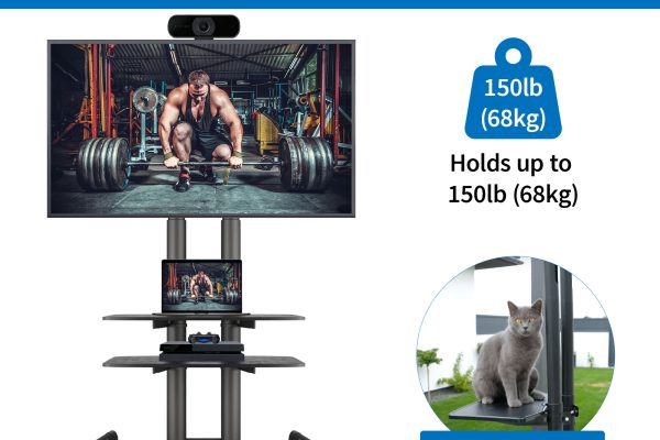 Mobile TV Stand Tips and Tricks