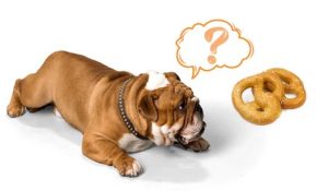 Can Dogs Have Pretzels