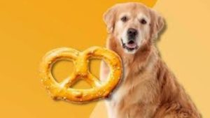 Can Dogs Have Pretzels