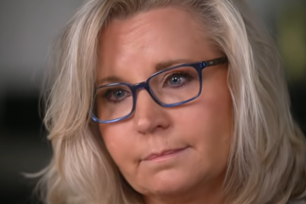 liz cheney net worth