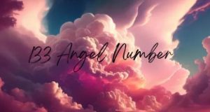 133 Angel Number